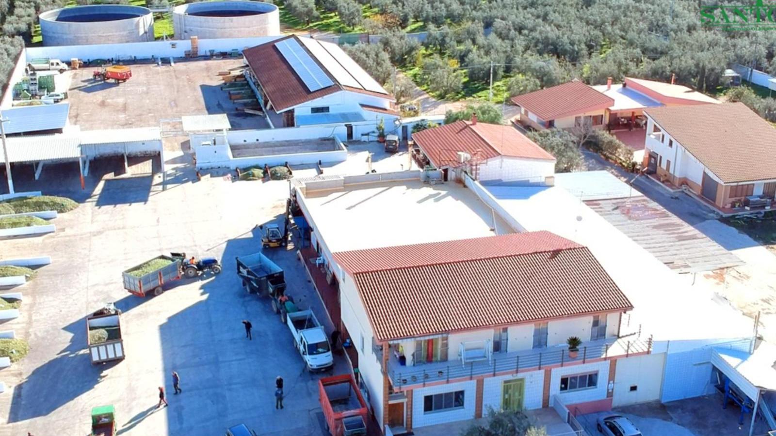 Santoro - Frantoio oleario dal 1925